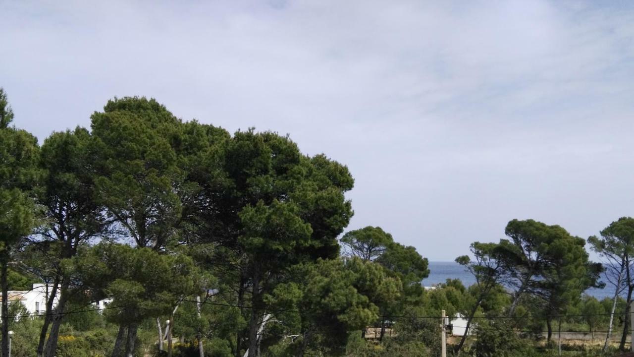 Dream House Cala Ratjada (Mallorca)