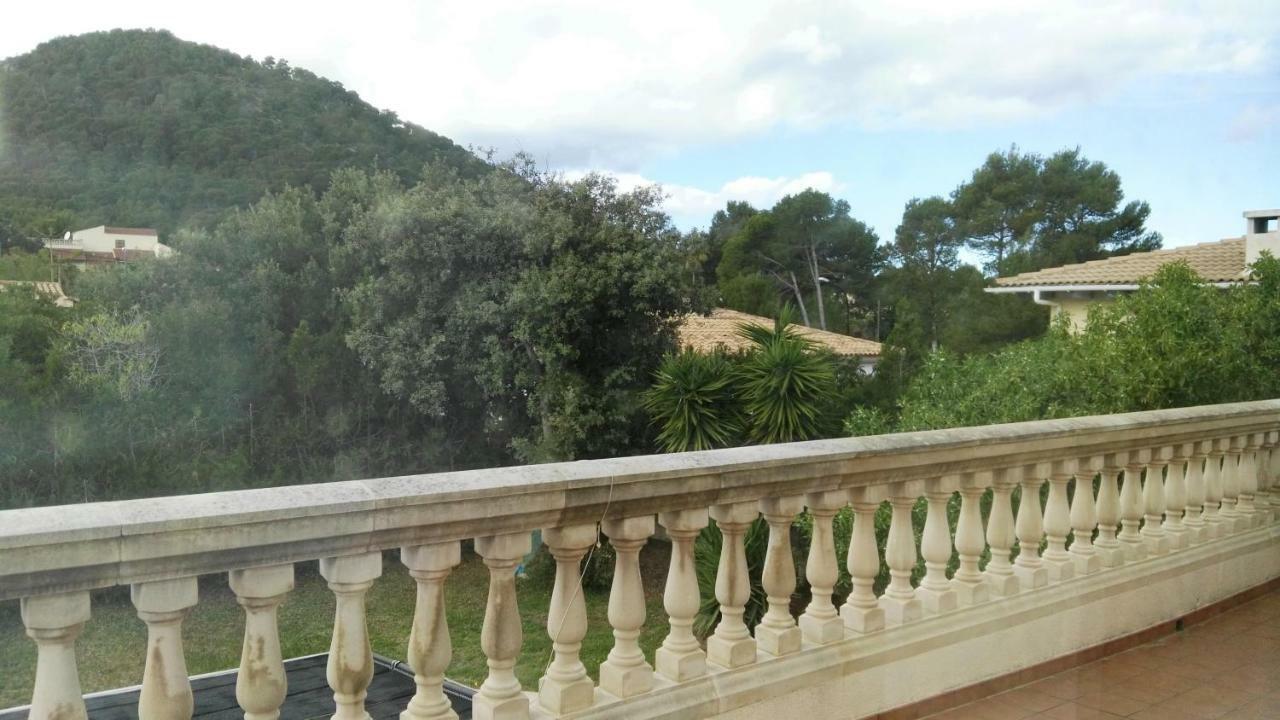 Dream House *